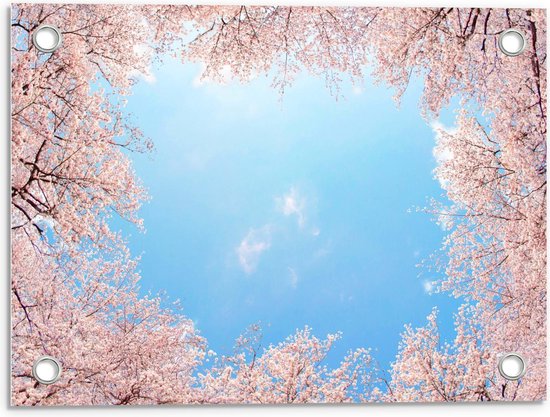 Tuinposter – Bloeiende Bloesem Bomen - 40x30cm Foto op Tuinposter  (wanddecoratie voor buiten en binnen)