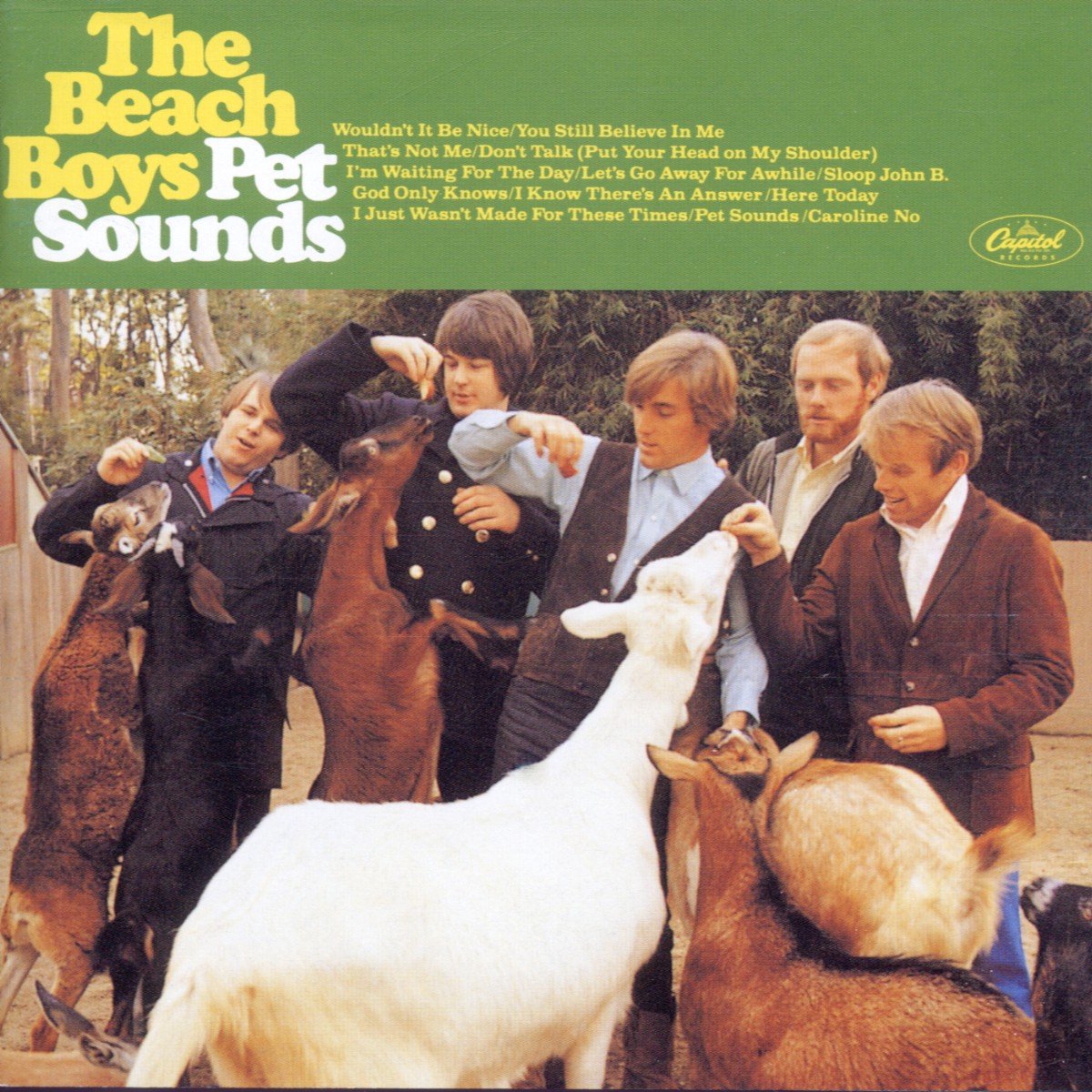 PET SOUNDS The Beach Boys Brian Wilson 盤 The Beach Boys Pet Sounds - CD Mono Version uit 2000 | bol