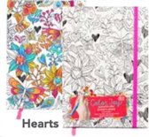 DCI Color Joy Journals 14.6x20.3cm 120 lined Pages Use with Colored Pencils or Gel Pens Sold Separately