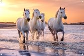 Tuinposter - witte paarden in de branding - omgezoomde rand - 120x80cm