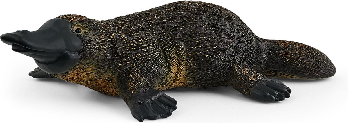 schleich WILD LIFE - Vogelbekdier - 14840 — afbeelding 3