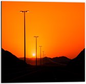 Dibond - Oranje Lucht boven Lantaarnpalen - 50x50cm Foto op Aluminium (Wanddecoratie van metaal)