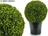 Ibergarden Kunstplant Bol 26 X 35 Cm Groen/zwart