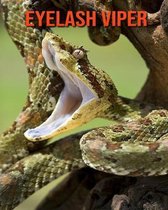 Eyelash Viper