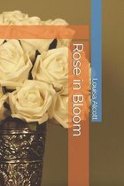 Rose in Bloom