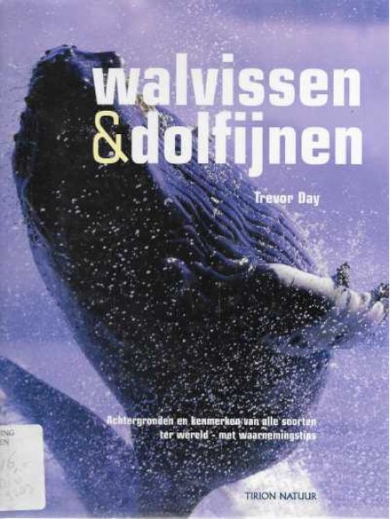 Walvissen En Dolfijnen