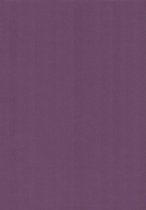 20 Linnen Kaarten papier - A4 - Druivenpaars / Grape - Cardstock - 29,7x21cm - 240 grams - Karton