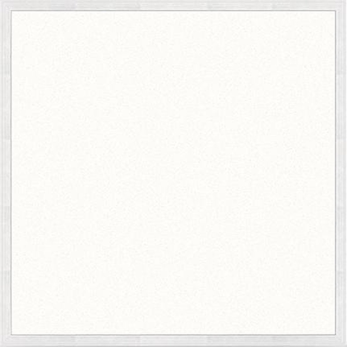 Varnalux 2st. VARNALUX LED BACKLIT PANEEL 60x60 36W 6000K 110lm/w FF EU-STEKKER Wit