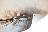 Muurdecoratie Verenfoto zacht licht - 180x120 cm - Tuinposter - Tuindoek - Buitenposter