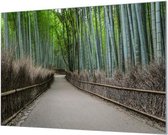 Wandpaneel Bamboe bos  | 210 x 140  CM | Zwart frame | Wand-beugels (27 mm)