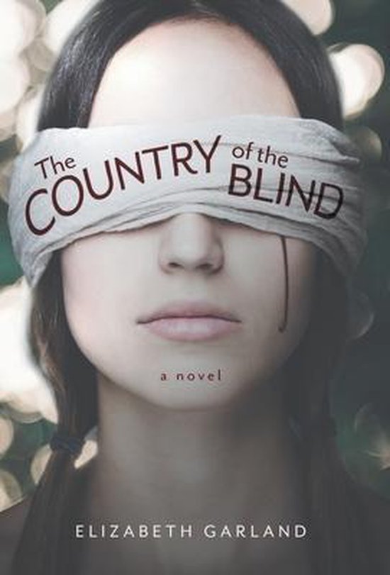 The Ataskin Law School Mysteries-The Country of the Blind - cover