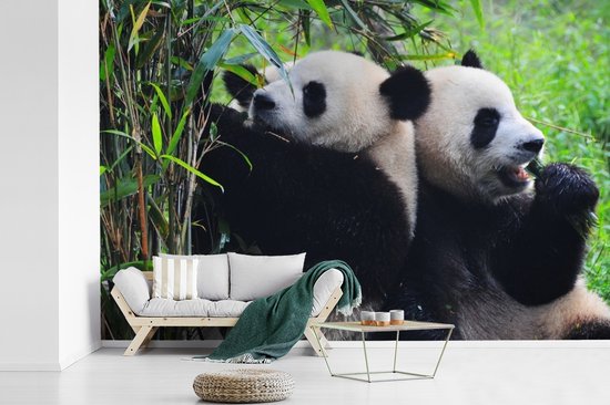 Behang - Fotobehang Panda Bamboe - Breedte 330 cm x hoogte 220 cm bol.com