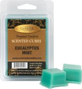 Crossroads Candles Eucalyptus Mint scented cubes (waxmelts)