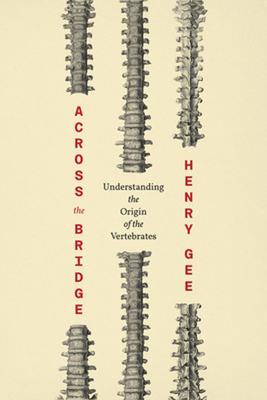 Across the Bridge – Understanding the Origin of the Verteb ... - cover