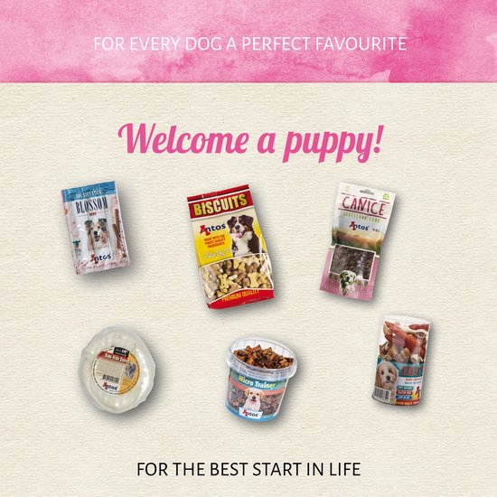 Overzicht van Antos hondensnacks: Blossom, Biscuits, Canice, Rawhide Donut, Micro Trainer Mix, Puppy Variety Pack.