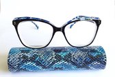Min-bril VOOR VERAF op sterkte -2.0, afstandsbril, elegante unisex ronde bril met brillenkoker en doekje, leuke trendy zwarte-ZILVER montuur Aland optiek 021