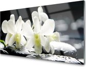 Glasschilderij Orchideebloesem| 4 mm veiligheidsglas | 100 x 50 cm | Blind ophangsysteem | Glazen schilderijen