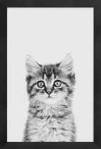 JUNIQE - Poster met houten lijst Kitten Classic -13x18 /Wit & Zwart