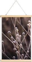 JUNIQE - Posterhanger Frosted Stems -30x45 /Bruin & Paars