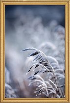JUNIQE - Poster met houten lijst Frosty Morning 5 -40x60 /Blauw &