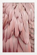 JUNIQE - Poster in houten lijst Pastel Feathers -40x60 /Roze