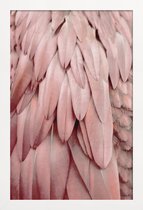JUNIQE - Poster in houten lijst Pastel Feathers -20x30 /Roze