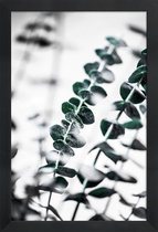 JUNIQE - Poster in houten lijst Eucalyptus 1 -30x45 /Groen & Wit