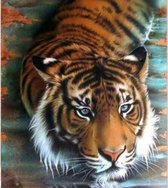 Diamond Painting Dieren Schilderij – 40 x 50 cm – Print #12