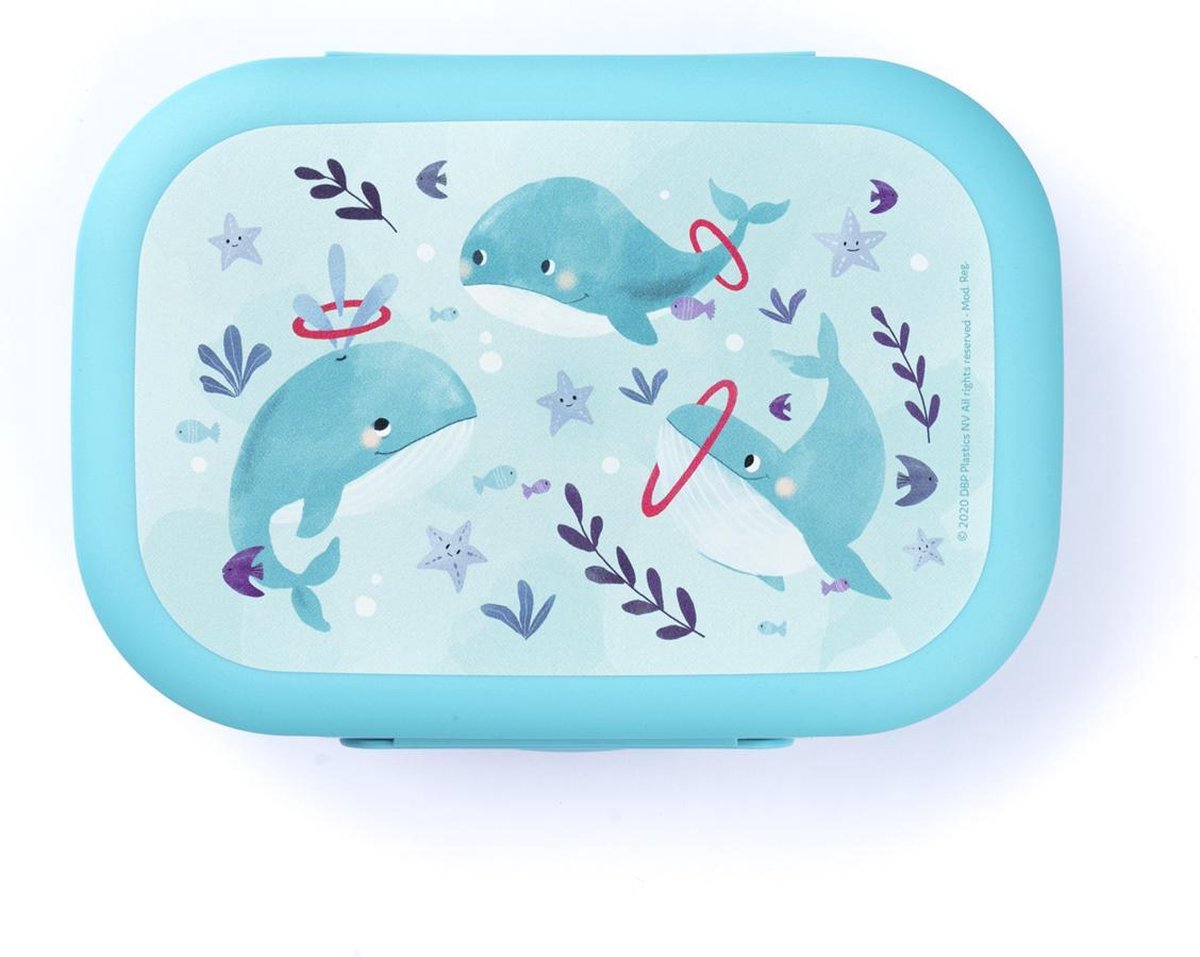 Amuse Plus Sea Life Brooddoos - Broodtrommel - Lunchbox met Handig scharnierdeksel - Vaatwasserbestending - Blauw - 500 ml