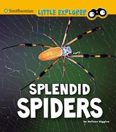 Little Entomologist 4D - Splendid Spiders