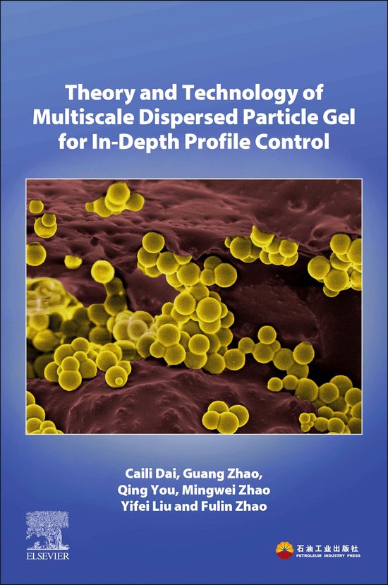 Theory and Technology of Multiscale Dispersed Particle Gel f ... - cover