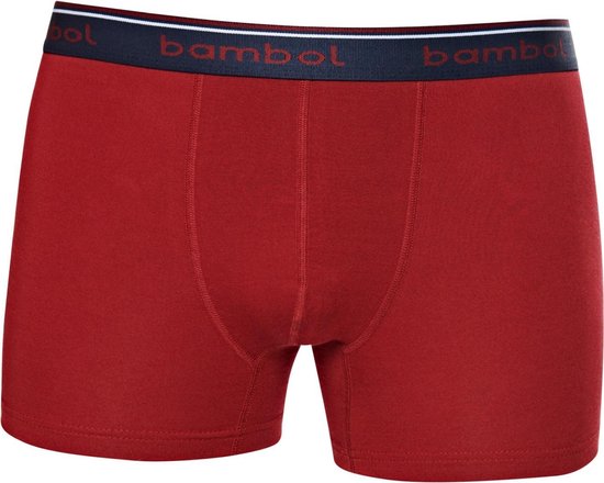 PUTUO Heren Bamboe Lange Boxers: Heren Anti-Schuur Bamboe Boxershorts met Gulp & 3D-Zakje – Labelvrij & Vochtregulerend Ondergoed Trunks voor Mannen 6 -Pack