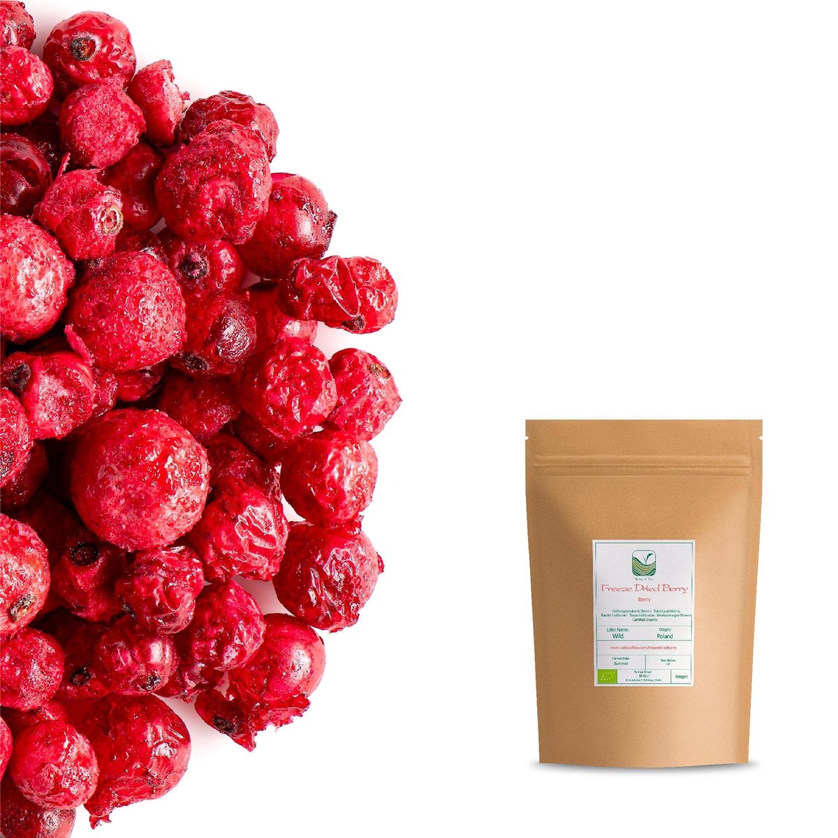 Goedkoopste Freeze Dried berry Mix Organic - Great berry Flavour - BE-BIO-01