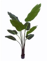 Silk-ka Kunstplant Strelizia Groen 152cm