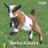 Baby Goats 2021 calendar