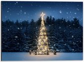 Dibond - Verlichte Kerstboom in Sneeuwende Nacht - 40x30cm Foto op Aluminium (Wanddecoratie van metaal)