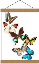 Schoolplaat – Vliegende Vlinders - 30x40cm Foto op Textielposter (Wanddecoratie op Schoolplaat)