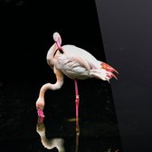Cadeautip! Plexiglas schilderij - Flamingo - 100 x 100 cm - Day & Night - luxe ophangsysteem