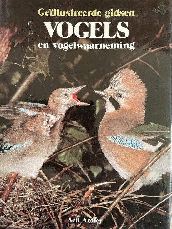 Couverture de livre avec deux geais, un adulte et un jeune, dans un nid. Guide illustré des oiseaux et de l'observation des oiseaux.