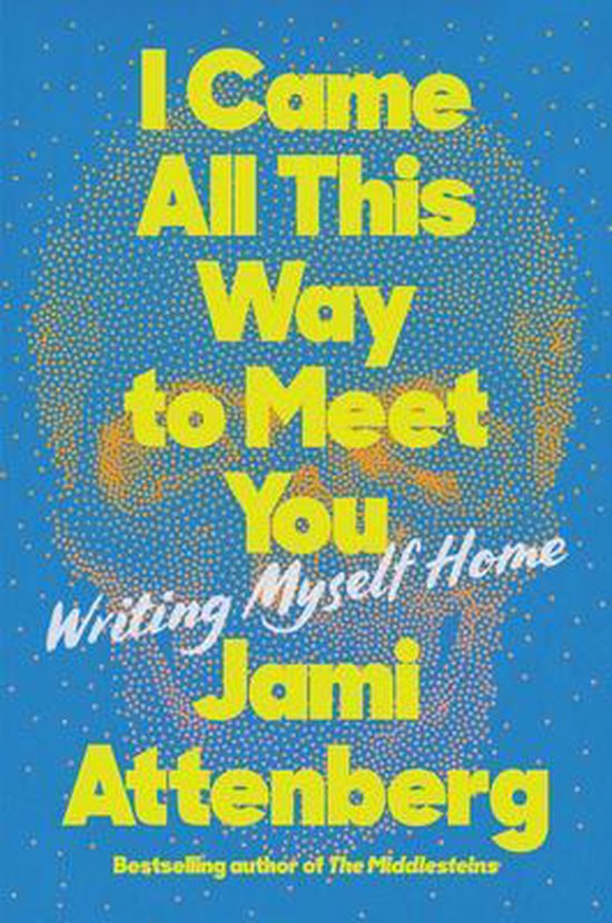 I Came All This Way to Meet You - cover
