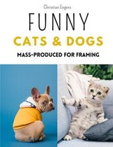 Funny Cats and Dogs