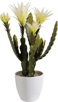 Dulaire Kunstplant Cactus Met Bloemen 48 cm