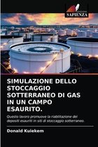 Simulazione Dello Stoccaggio Sotterraneo Di Gas in Un Campo Esaurito.