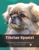 Tibetan Spaniel