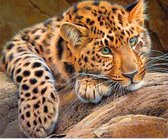 Riqueza Diamond Painting 5D - Luipaard, Leopard - 30X40 Volledig Diamant Schilderen Hobby , Luipaard, Leopard , Pixel en Pixelpakket DiamondPainting