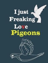 I just freaking love pigeons