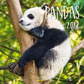 Pandas 2022