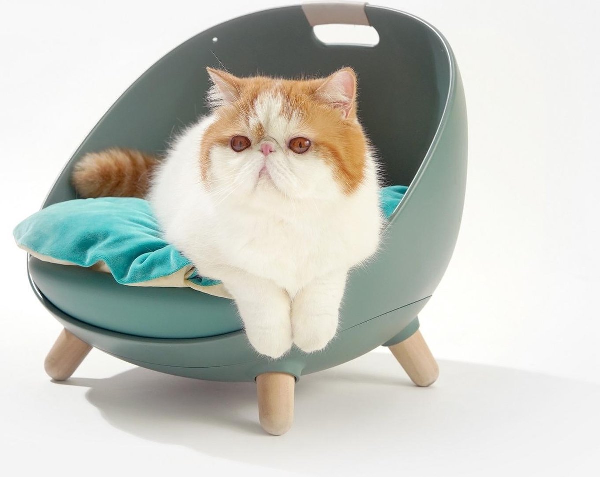 Detector Grace ontwikkeling MS! Duku Cat Nest - 4 in 1 Kattenmand – Verkrijgbaar in Wit, rose en  mosgroen -... | bol.com