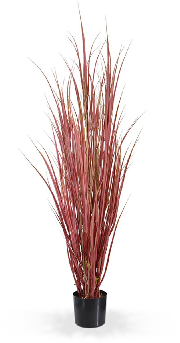 maxifleur Kunstplanten Kunst Rietgras plant deluxe 130cm - Burgundy Groen