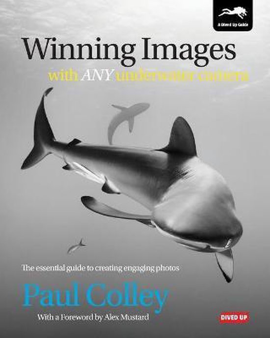 Foto: Winning images with any underwater camera